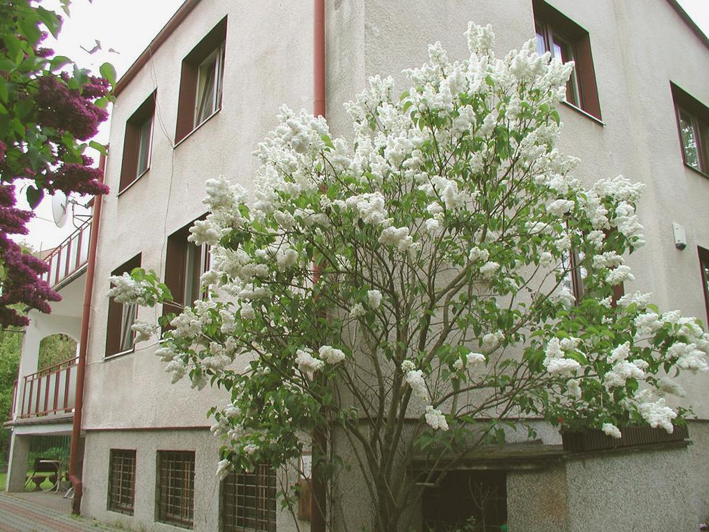 Sart Leilighet Gdańsk